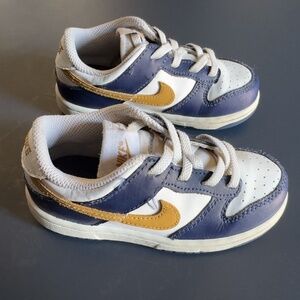 Nike Dunk Low Toddler Shoes